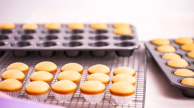 Taze pişmiş küçük vanilyalı kek.