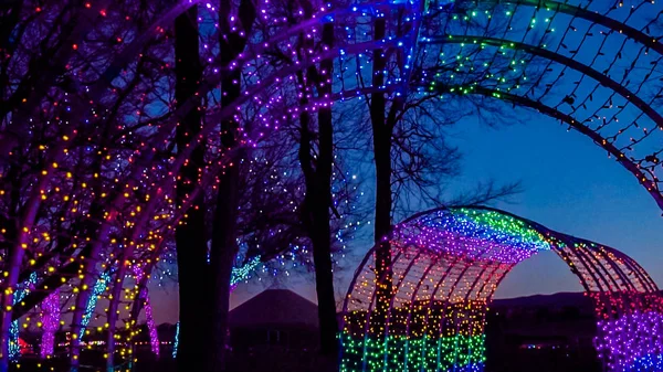 Túnel Decorado Con Luces Navidad Jardín — Foto de Stock
