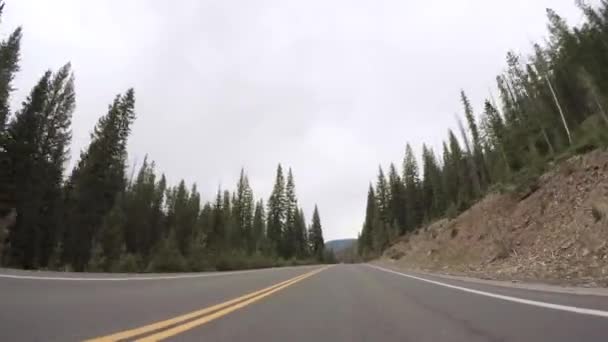 Körning Asfalterad Väg Rocky Mountain National Park — Stockvideo