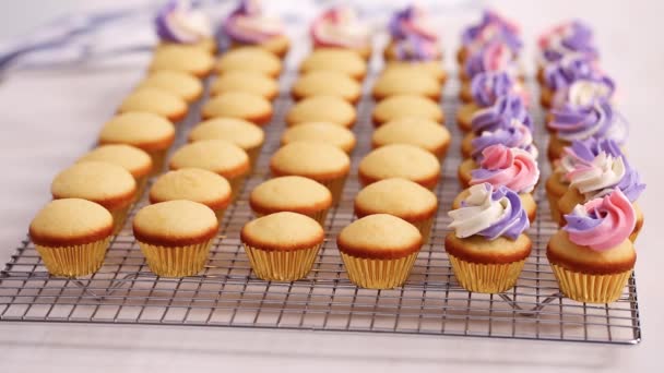 Csővezeték Rózsaszín Lila Vajkrém Fagyosan Kis Vanília Cupcakes — Stock videók