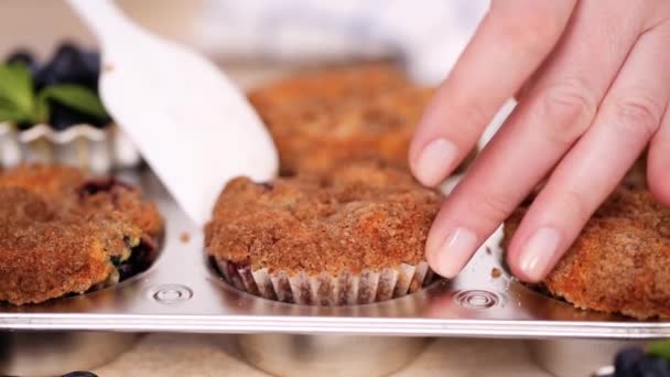 Organik Malzemelerle Hazırlanan Yapımı Blueberry Muffins — Stok video