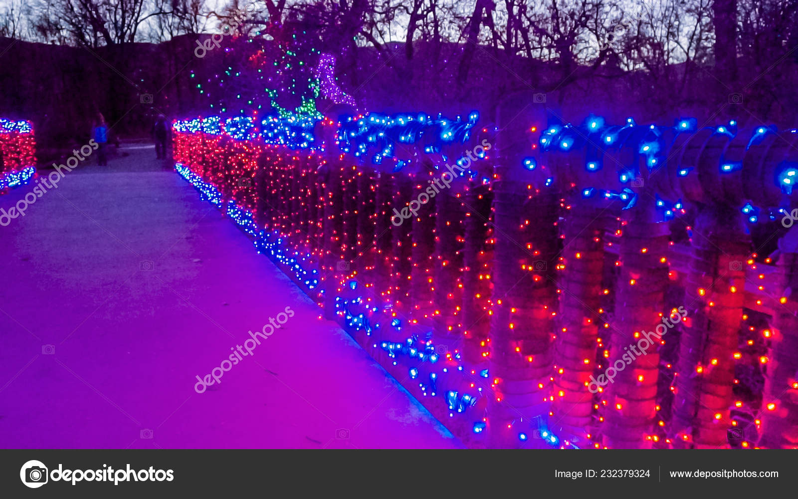 red and blue christmas lights