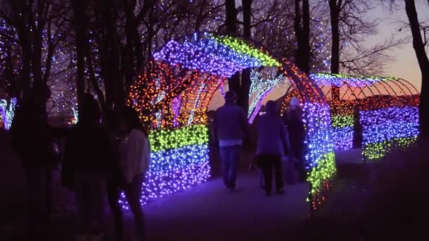 Denver Colorado Usa November 2018 Tunnel Dekoriert Mit Weihnachtslichtern Garten — Stockvideo