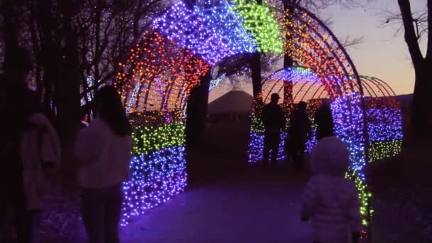 Denver Colorado Usa November 2018 Tunnel Dekoriert Mit Weihnachtslichtern Garten — Stockvideo
