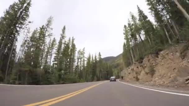 Conducir Por Carretera Pavimentada Parque Nacional Las Montañas Rocosas — Vídeo de stock