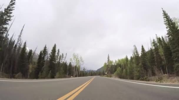 Conducir Por Carretera Pavimentada Parque Nacional Las Montañas Rocosas — Vídeos de Stock