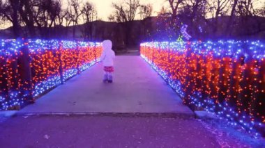 Kırmızı ve mavi Noel ışıkları ile dekore edilmiş ahşap köprü.