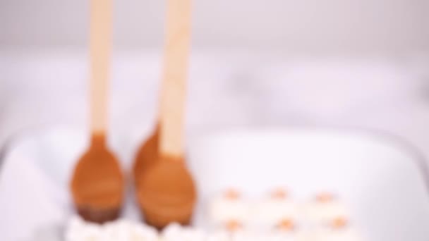 Nahsicht Verschiedene Marshmallow Toppings Mit Pfefferminze Und Schokolade Für Heiße — Stockvideo