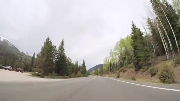 Driving Paved Road Rocky Mountain National Park — Stock Video