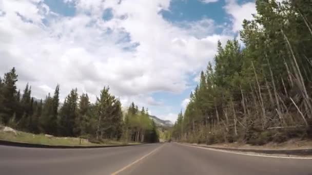 Conducir Por Carretera Pavimentada Parque Nacional Las Montañas Rocosas — Vídeo de stock