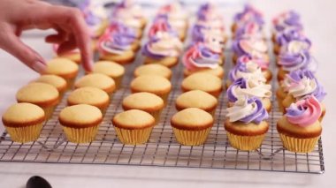 Pembe ve mor buttercream frosting küçük vanilyalı kek üzerinde boru.