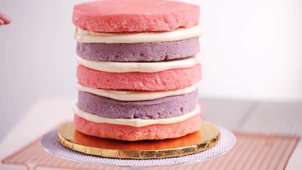 Baker Ensamblando Capa Pastel Rosa Púrpura Para Hacer Pastel Unicornio — Vídeo de stock