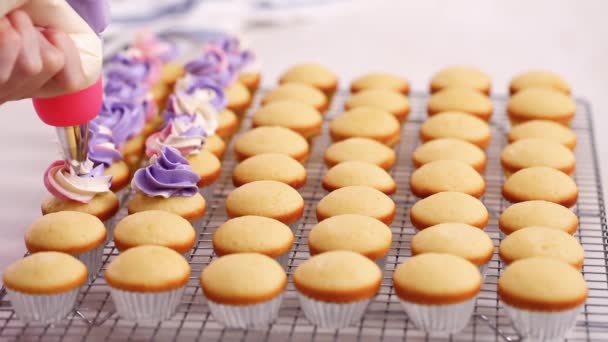 Tubulação Rosa Roxo Creme Manteiga Cobertura Pequenos Cupcakes Baunilha — Vídeo de Stock