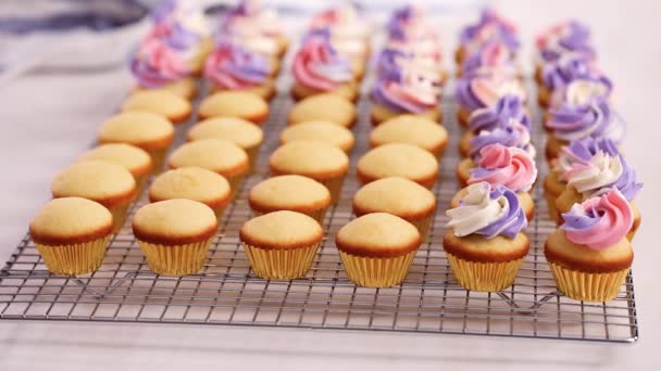 Csővezeték Rózsaszín Lila Vajkrém Fagyosan Kis Vanília Cupcakes — Stock videók