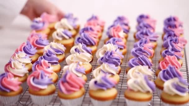 小さなバニラカップ ケーキのピンクと紫の Buttercream のフロスティングを配管 — ストック動画