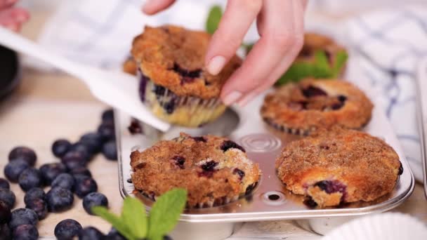 Tar Blueberry Muffins Metall Muffinsplåt — Stockvideo