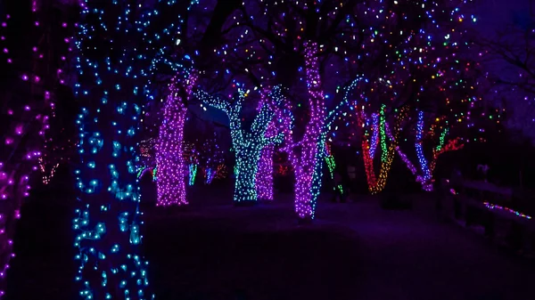 Árboles Decorados Con Luces Navidad Azul Púrpura — Foto de Stock