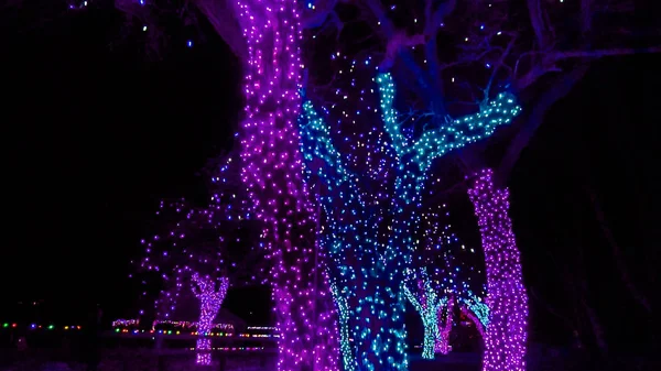 Árboles Decorados Con Luces Navidad Azul Púrpura — Foto de Stock