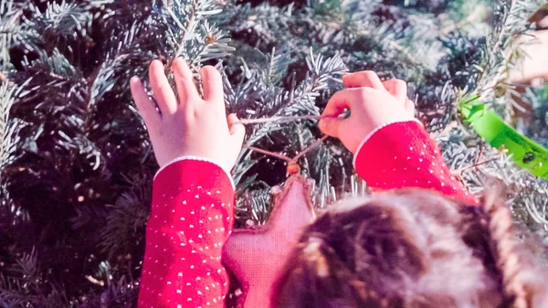 Little Girl Red Dress Christmas Tree Farm — Stock Photo, Image