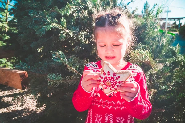 Κοριτσάκι Κόκκινο Φόρεμα Στο Αγρόκτημα Χριστουγεννιάτικο Δέντρο — Φωτογραφία Αρχείου