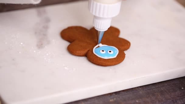 Steg För Steg Platt Låg Dekorera Pepparkakor Med Royal Icing — Stockvideo