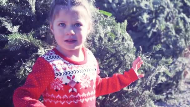 Dziewczynka Czerwonej Sukience Christmas Tree Farm — Wideo stockowe