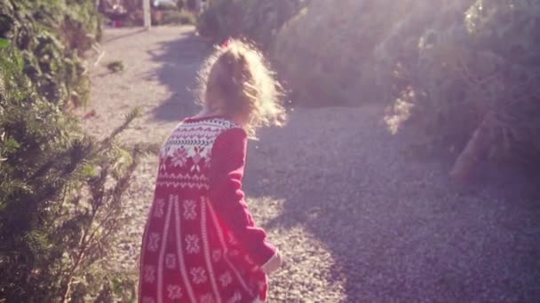 クリスマス ツリーの農場で赤いドレスの女の子 — ストック動画