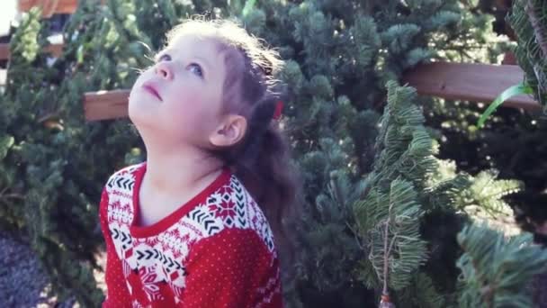 Bambina Abito Rosso Sulla Fattoria Albero Natale — Video Stock