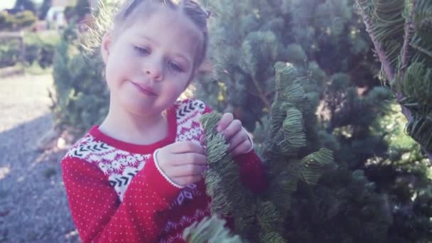 Κοριτσάκι Κόκκινο Φόρεμα Στο Αγρόκτημα Χριστουγεννιάτικο Δέντρο — Αρχείο Βίντεο
