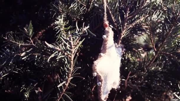 Zeitlupe Weihnachtsschmuck Hängt Echtem Immergrünen Weihnachtsbaum — Stockvideo