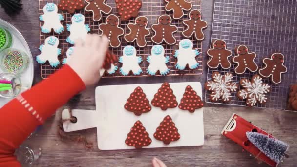 Passo Passo Decoração Biscoitos Gengibre Com Cereja Real — Vídeo de Stock