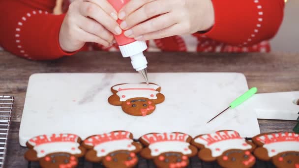 Step Step Decorating Gingerbread Cookies Royal Icing — Stock Video