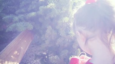 Ağır çekim. Noel ağacı çiftlikte kırmızı elbiseli küçük kız.