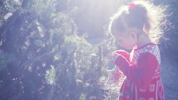 Slow Motion Little Girl Red Dress Christmas Tree Farm — Stock Video
