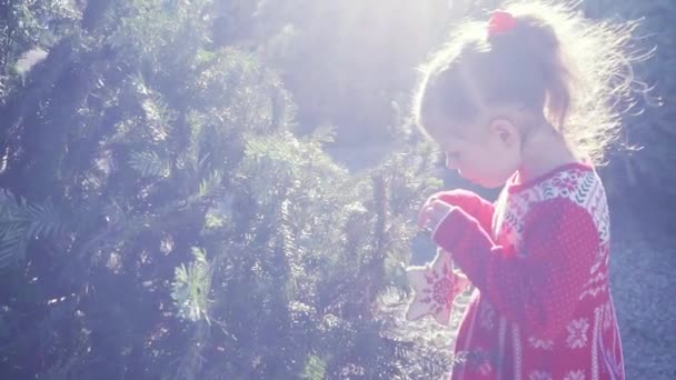 Movimento Lento Menina Vestido Vermelho Fazenda Árvore Natal — Vídeo de Stock