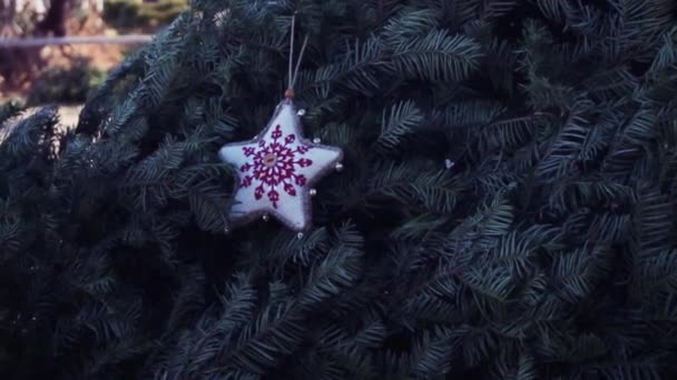 Slow Motion Kerst Ornamenten Opknoping Echte Groenblijvende Kerstboom — Stockvideo