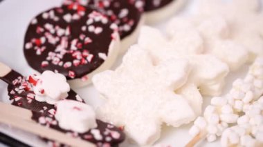 Görünümü kapatın. Hatmi Topingler nane ve çikolata sıcak çikolata ve kakao içmeye ile çeşitli.