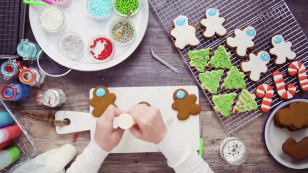 Steg För Steg Platt Låg Dekorera Pepparkakor Med Royal Icing — Stockvideo