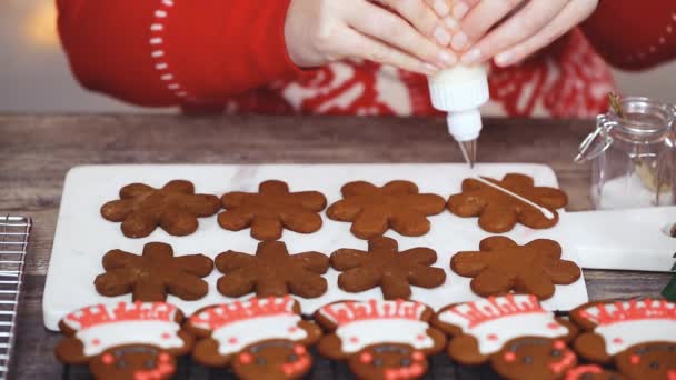 Stap Voor Stap Gingerbread Koekjes Met Royal Icing Versieren — Stockvideo