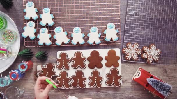 Time Lapse Step Step Flat Lay Decorating Gingerbread Cookies Royal — Stock Video