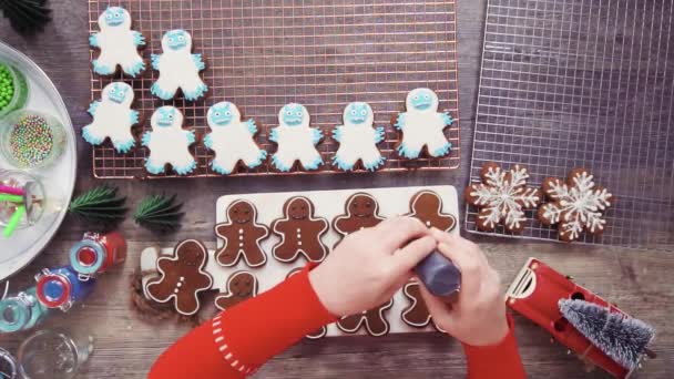 Stap Voor Stap Flat Lag Gingerbread Koekjes Met Royal Icing — Stockvideo