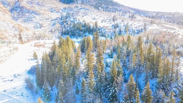 Kış Aylarında Dağların Havadan Görünümü — Stok fotoğraf