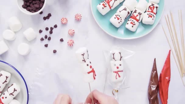 Flach Lag Marshmallow Schneemänner Und Rentiere Stöcken Als Kleine Lebensmittelgeschenke — Stockvideo