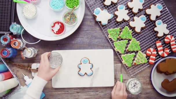 Lapos Feküdt Lépésről Lépésre Díszítő Mézeskalács Cukor Cookie Royal Jegesedés — Stock videók