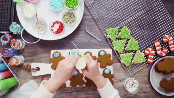 Lapos Feküdt Lépésről Lépésre Díszítő Mézeskalács Cukor Cookie Royal Jegesedés — Stock videók