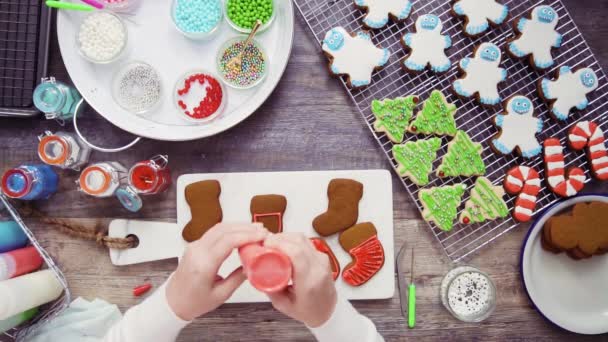 平躺着 一步一步 装饰姜饼和糖饼干与皇家糖衣圣诞节 — 图库视频影像