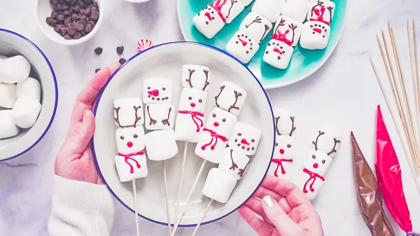 Pose Plate Marshmallow Bonhomme Neige Fait Maison Rennes Sur Bâton — Photo