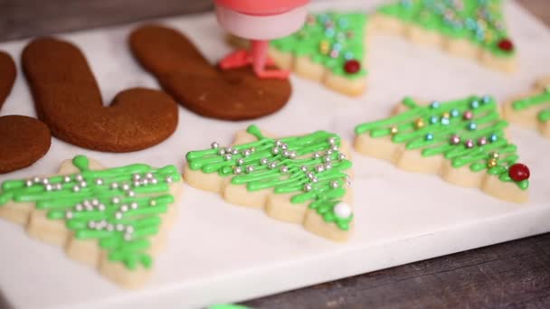 一歩ずつ クリスマスのためのロイヤルアイシングでジンジャーブレッドとシュガークッキーを飾る — ストック動画