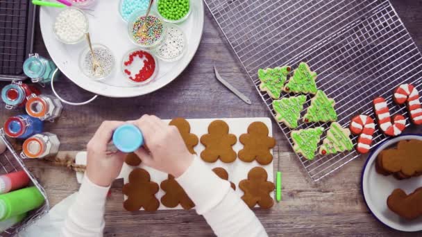 Acostado Paso Paso Decoración Galletas Jengibre Azúcar Con Glaseado Real — Vídeos de Stock