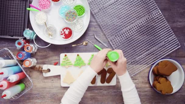 Acostado Paso Paso Decoración Galletas Jengibre Azúcar Con Glaseado Real — Vídeo de stock